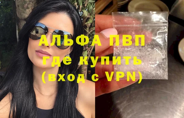 индика Армянск