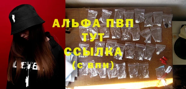 индика Армянск