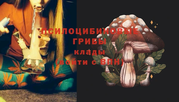 трава Мегион